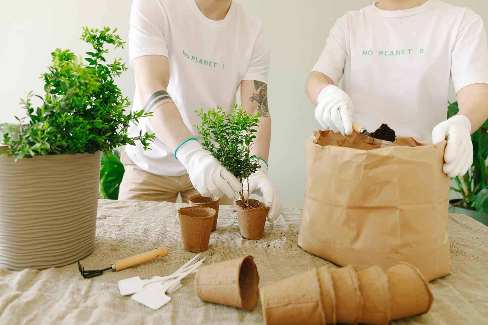 Pexels thirdman 7655912