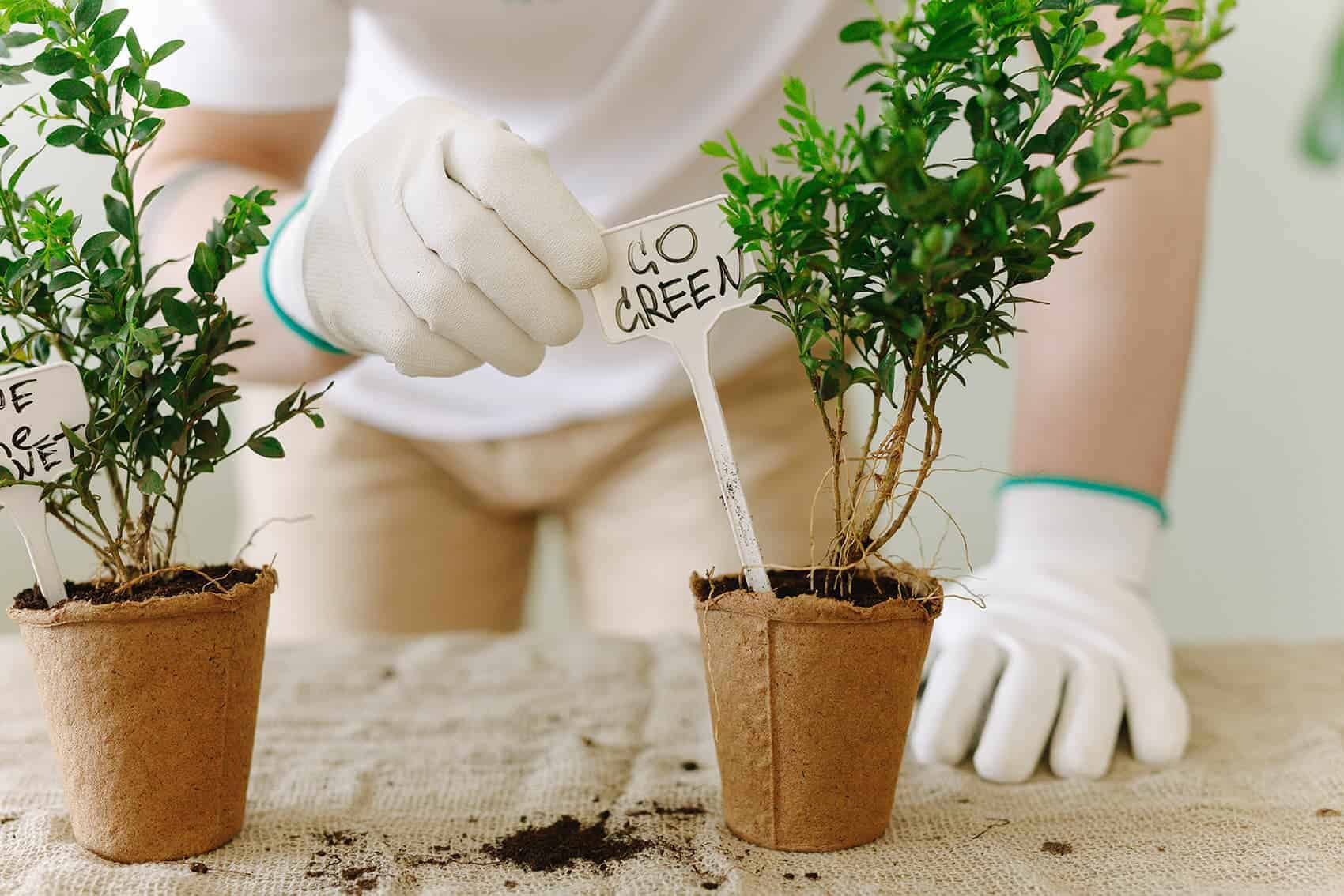 Pexels thirdman 7656124